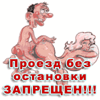 ��� ����� ����� ����� ���������